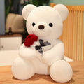 Hug Roses Teddy Bear