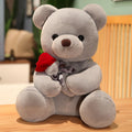 Hug Roses Teddy Bear